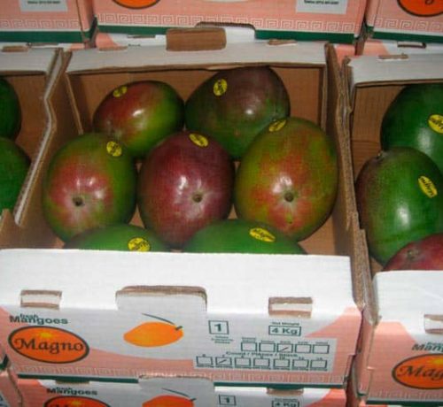 Mangos